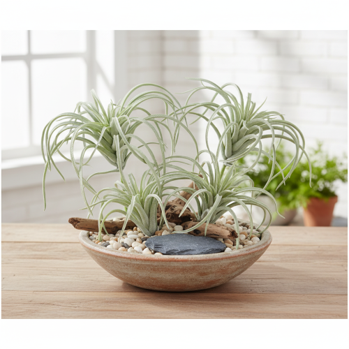 Artículo Plantas artificiales suculentas Tillandsia de 13 cm
