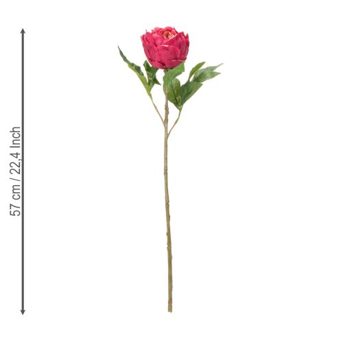 Artículo Flor de peonía artificial para una elegante decoración de interiores, 58 cm.