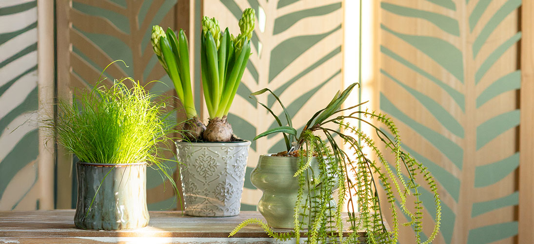 Macetas de cerámica