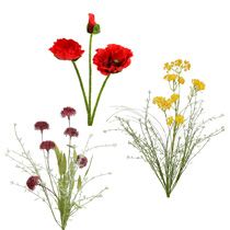 categoría Flor de jardín y flor de prado