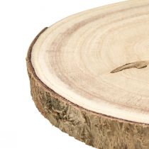 Artículo Rodaja de árbol campanilla natural Ø20-25cm 1 pieza