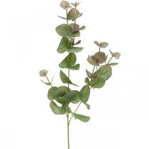 Artículo Rama de eucalipto artificial deco verde planta verde, rosa 75cm