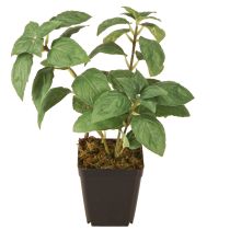 Artículo Albahaca artificial en maceta Hierbas en color verde H22cm