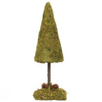 Artículo Mini árbol de Navidad decoración de mesa árbol de musgo Al. 30,5 cm