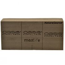 Artículo Oasis NatureSource Maxlife Floral Ladrillo Espuma Marrón 23×11×7.5cm 1ud