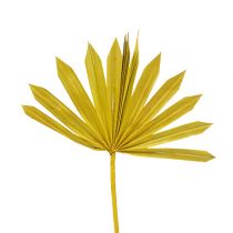 Artículo Palmspear Sol mini amarillo 50uds