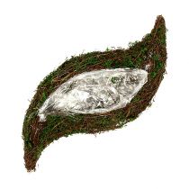 Artículo Planta de vid ondulada, musgo 45cm x 18cm H7cm