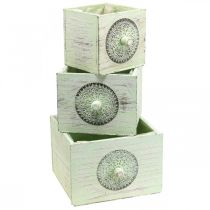 Artículo Caja de plantas cajón decorativo verde shabby 15-23cm juego de 3