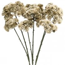 Artículo Sedum flor artificial sedum crema flor decoración otoño 70cm 3pcs