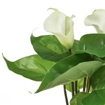 Artículo Cala Lily Kalla Flores Artificiales Flores Exóticas Blancas 34cm