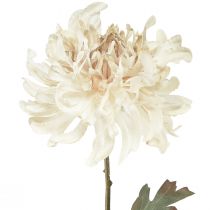 Artículo Crisantemo Flores Decorativas Artificiales Crema L72cm 2uds