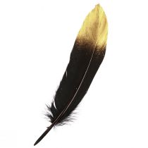 Artículo Plumas decorativas plumas de ganso reales de oro negro 15-20cm 50uds