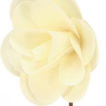 Artículo Rosas decorativas crema rosas artificiales de madera Ø7cm 12 piezas