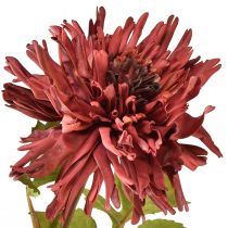 Artículo Crisantemo artificial en burdeos Ø5cm/Ø11cm L70cm