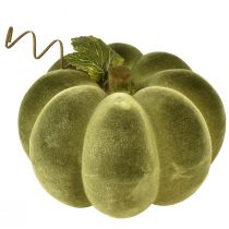 Artículo Decoración de calabaza flocada 20 cm aspecto terciopelo verde calabaza 2 piezas