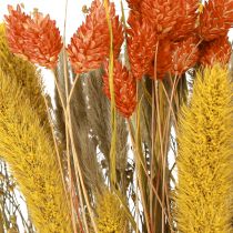 Artículo Ramo de flores secas con grano amarillo anaranjado 50cm