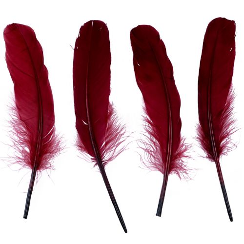 Plumas decorativas para manualidades, plumas de pájaro  auténticas, rojo vino, 20g-04153