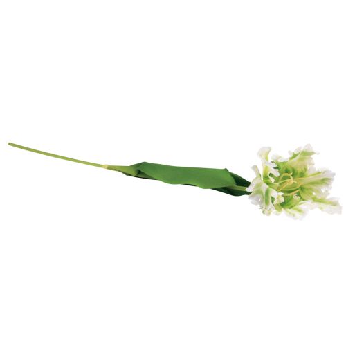 Artículo Flor artificial loro tulipán tulipán artificial verde blanco 69cm