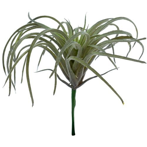 Artículo Tillandsia suculentas plantas verdes artificiales 13cm