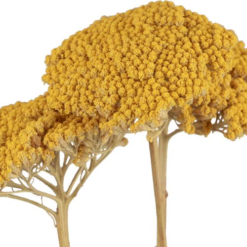 Artículo Flores secas de milenrama Achillea millefolium 30g x 2 piezas