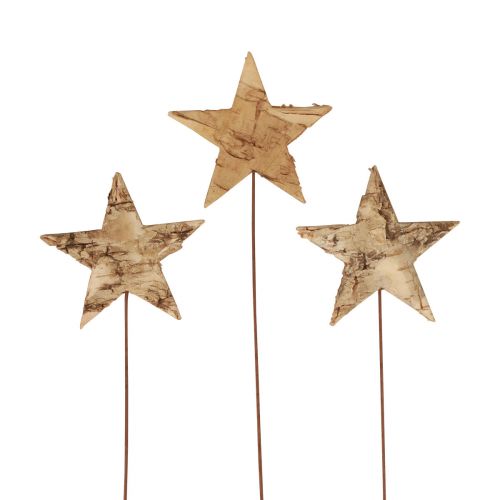 Floristik24 Estrellas decorativas para pegar estrellas decorativas de corteza de árbol Adviento 22cm 24uds