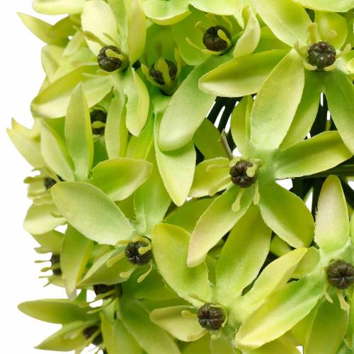 Artículo Cebolla ornamental Allium, flor de seda, bola artificial puerro verde Ø20cm L72cm