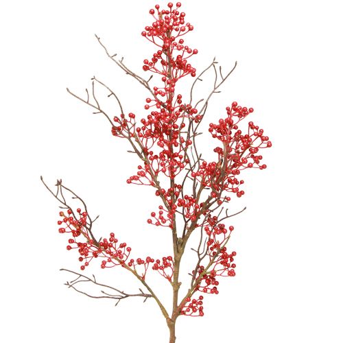 Floristik24 Rama de bayas bayas rojas decoración de rama otoño invierno L78cm