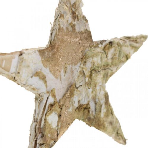 Artículo Estrella decorativa de corteza de abedul estrellas de abedul natural, doradas 6,5 cm 30 piezas