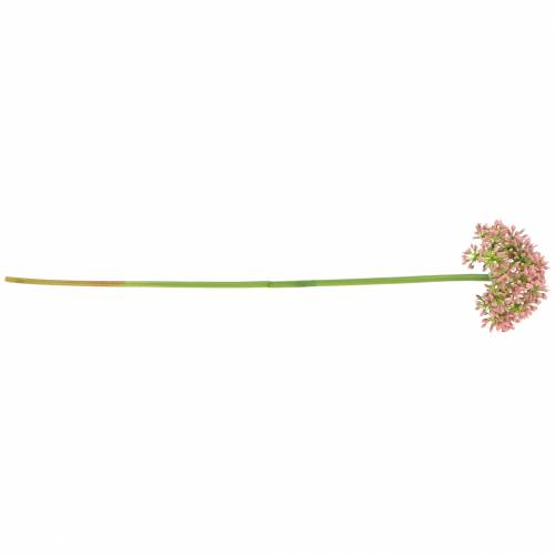 Artículo Allium artificial Rosa 55cm