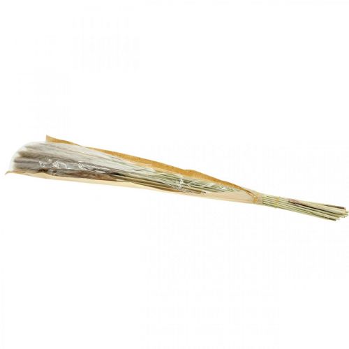 Artículo Hierba seca pampas grass manojo natural 80cm