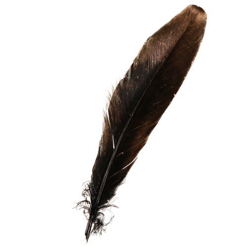 Artículo Plumas decorativas plumas decorativas navideñas doradas 15-20cm 12 piezas