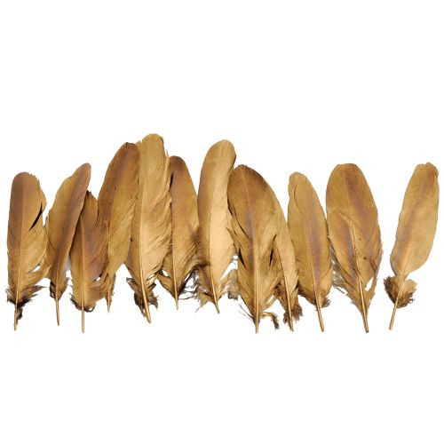 Artículo Plumas decorativas plumas decorativas navideñas doradas 15-20cm 12 piezas