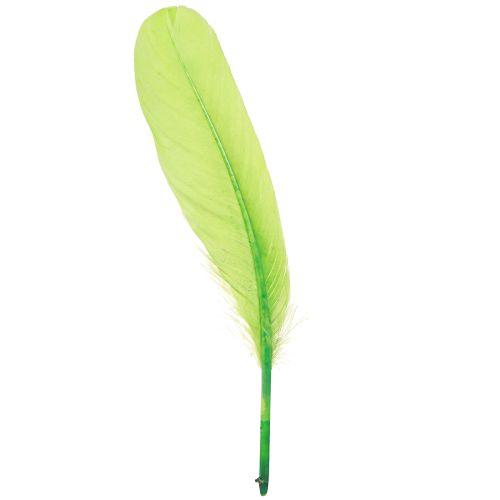 Plumas decorativas para elaborar plumas de ganso verde claro 20 g x 2 piezas