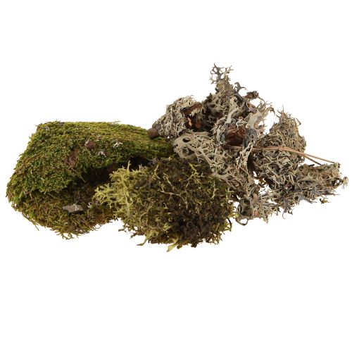 Musgo decorativo para manualidades mezcla verde, musgo natural verde claro 75g