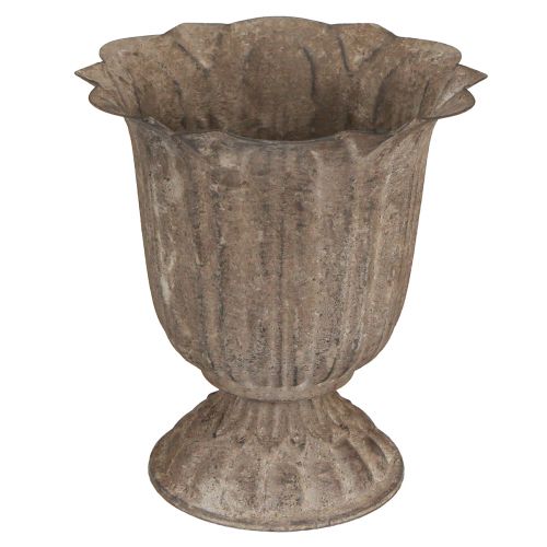 Artículo Macetero trofeo decorativo aspecto antiguo gris marrón Ø15cm H16cm