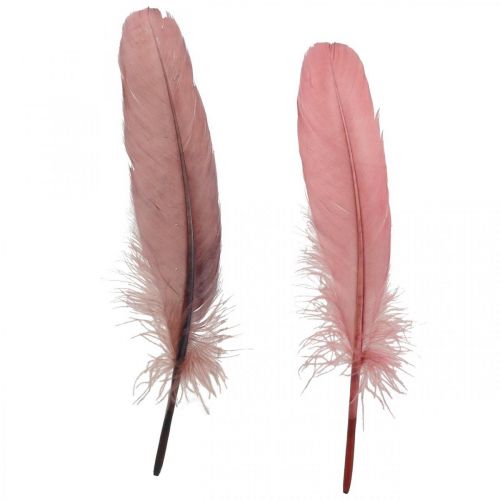 Plumas decorativas para manualidades Plumas reales de ave  rosa palo 20g-04152