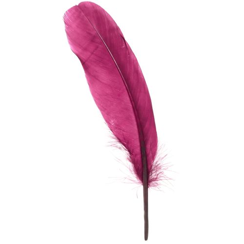 Plumas decorativas plumas de ganso burdeos suministros para manualidades 20 g x 2 piezas