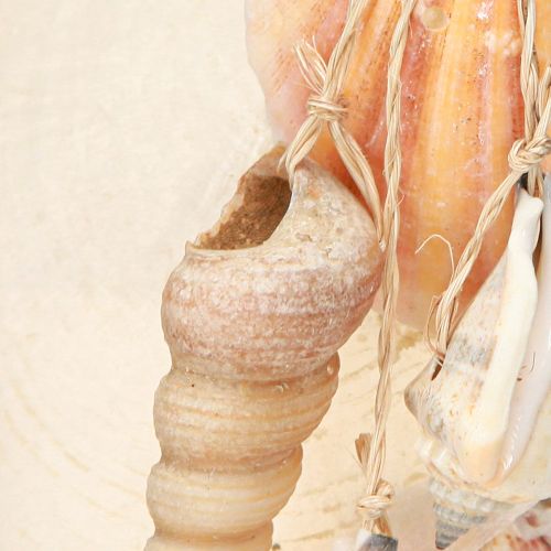 Artículo Decoración marinera Beach House Conchas y caracoles 25cm