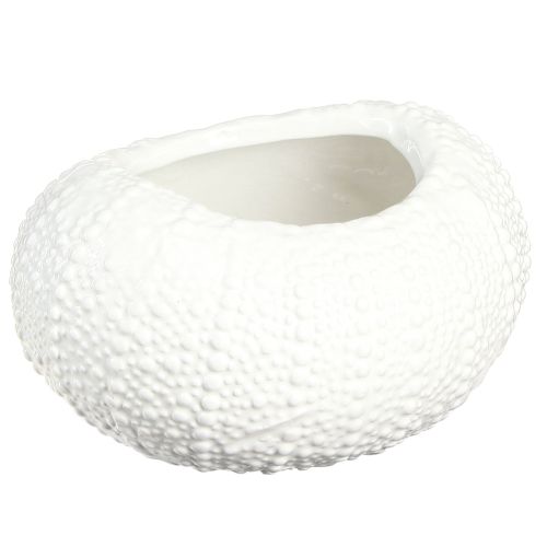 Cuenco decorativo de cerámica ovalado marítimo en blanco 19x15x8,5cm