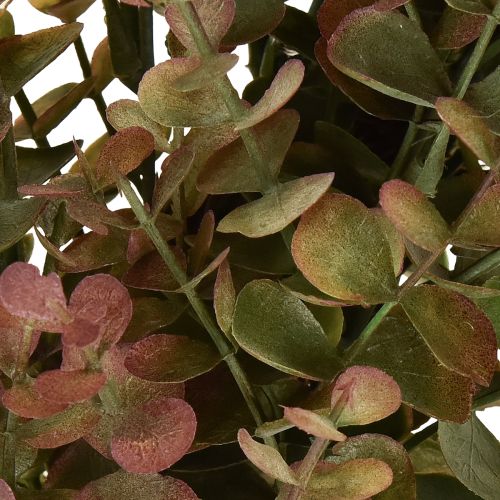 Artículo Corona de eucalipto artificial decoración otoñal eucalipto Ø36cm