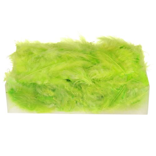 Artículo Plumas para manualidades en decoración de plumas verde claro 5-10cm 20g