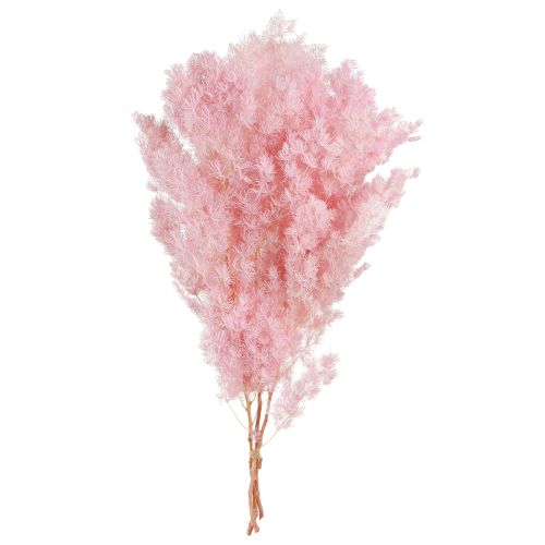 Artículo Espárragos Pluma Decoración Seca Espárragos Rosa 55-70cm 100g
