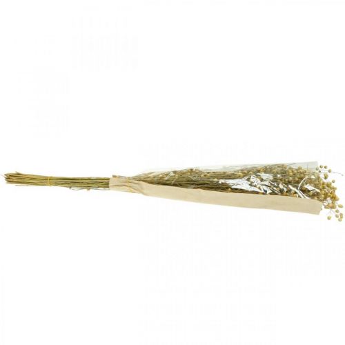 Artículo Lino seco, floristería seca, lino natural color natural L40–55cm 85g