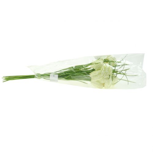 Artículo Flores de tablero de ajedrez Fritillaria artificial blanco, verde 40cm 12 piezas