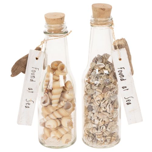 Artículo Decoración de botella de vidrio con conchas y colgante, decoración de mesa marítima, 17 cm, 2 piezas