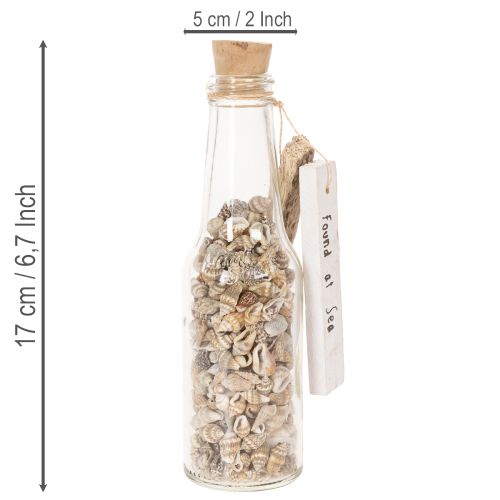 Artículo Decoración de botella de vidrio con conchas y colgante, decoración de mesa marítima, 17 cm, 2 piezas