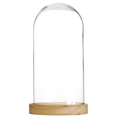 Floristik24 Campana de cristal con placa, cúpula de cristal, decoración de campana de cristal H21cm
