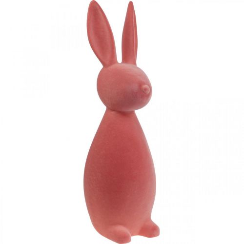 Floristik24 Deco Bunny Deco Conejito de Pascua Flocado Naranja Albaricoque H69cm