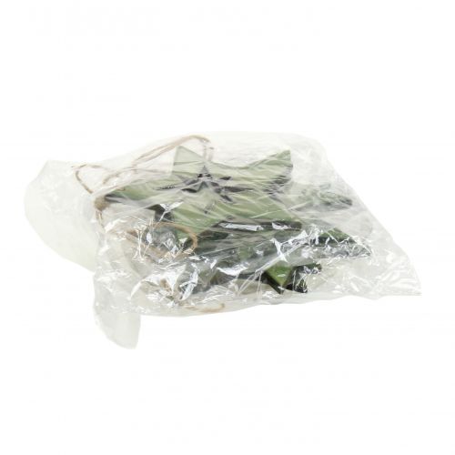 Artículo Estrella de madera con motivos Verde 11cm 6pcs