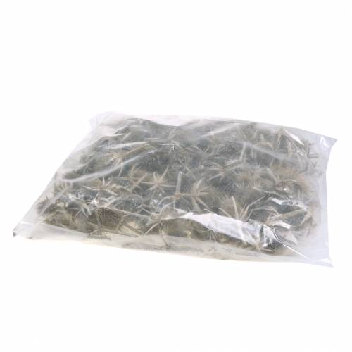 Artículo Cardos salvajes lavados blanco decoración natural 1kg